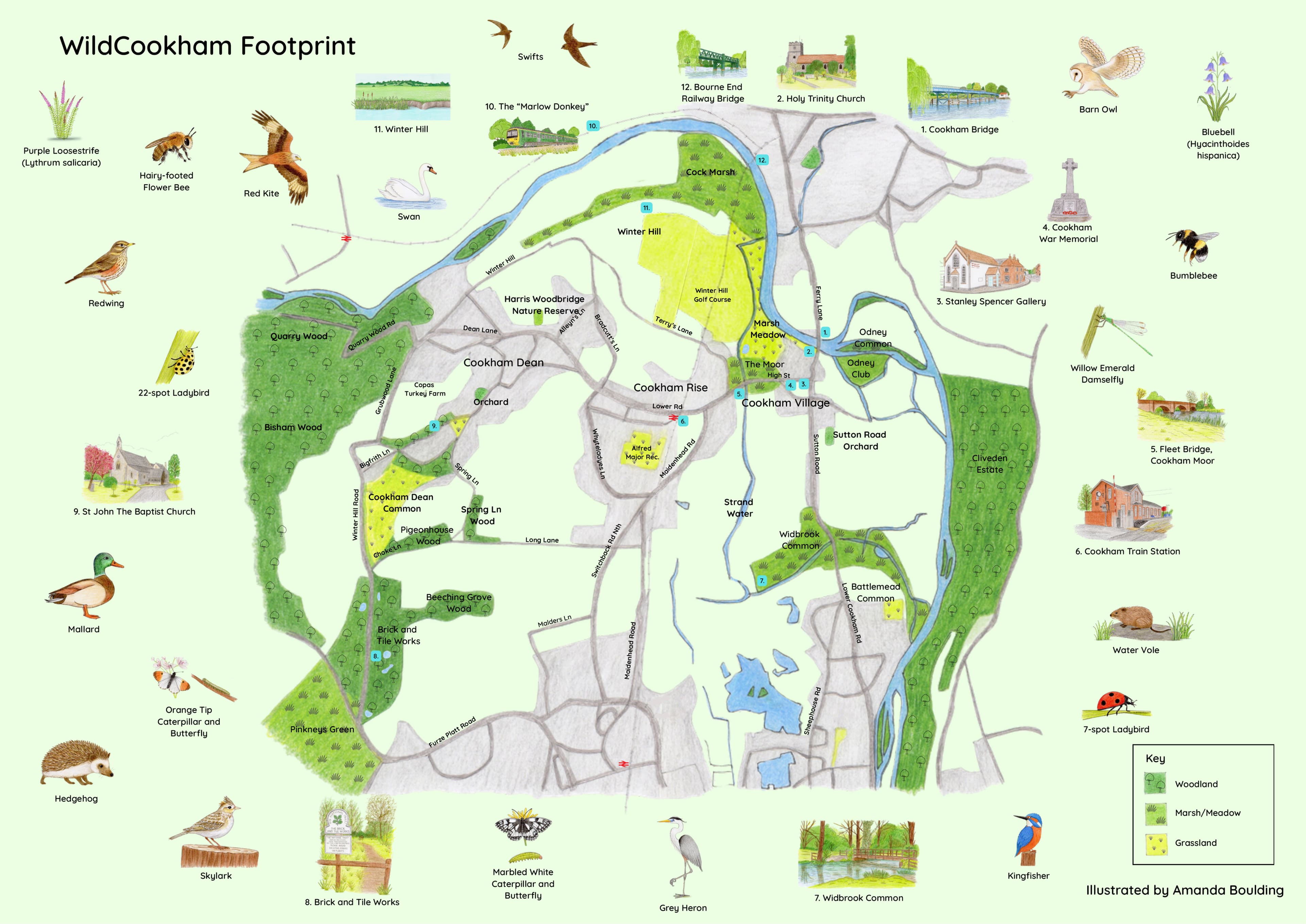 WildCookham interactive map
